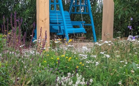 Transform Your Outdoor Space with Expert Gardening Services in Sandbach