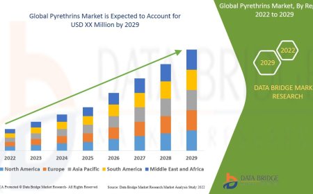 Pyrethrins Market : Trends, Analysis, and Competitive Landscape 2025 –2032