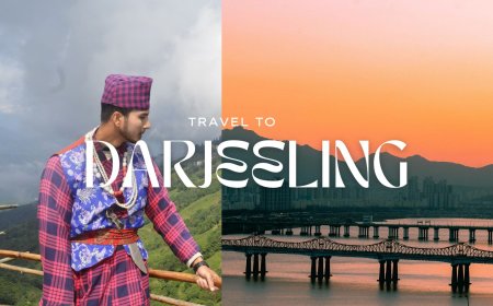 Darjeeling Tour Packages Under 10000: Budget-Friendly Darjeeling Magic