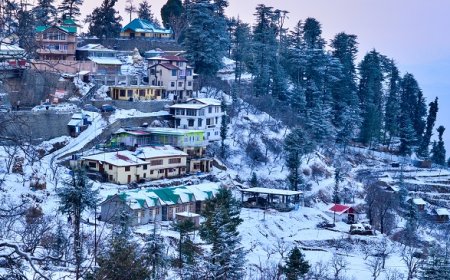 Best Shimla Tour Package for a Perfect Mountain Getaway
