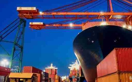 Leading Sea Freight Companies in Dubai for Safe Cargo