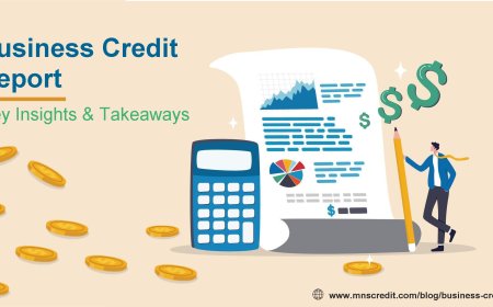 Understanding a Company Credit Report: Key Insights & Takeaways