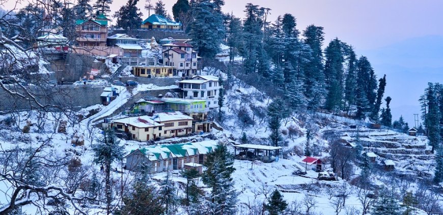Best Shimla Tour Package for a Perfect Mountain Getaway