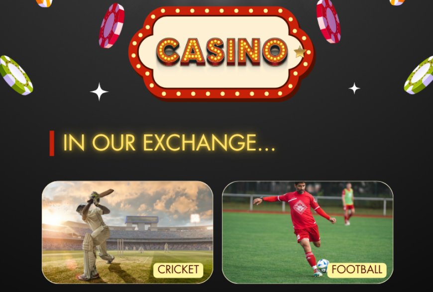 11xplay Login – Easy Steps to Access Your Gaming Dashboard