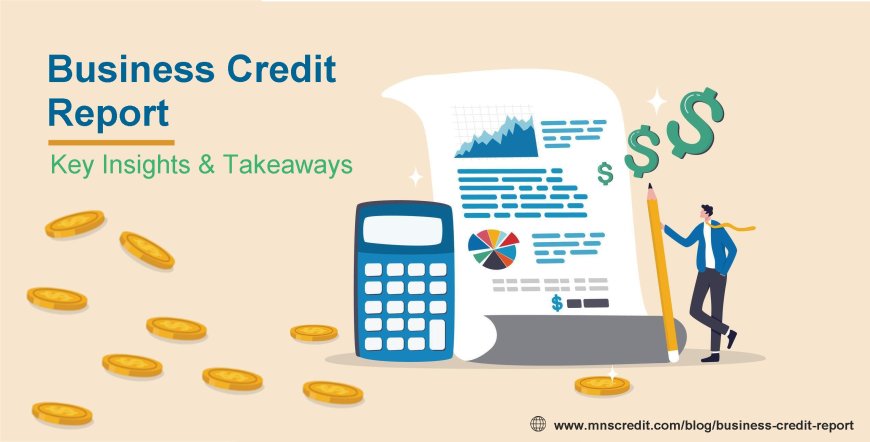 Understanding a Company Credit Report: Key Insights & Takeaways