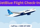JetBlue Check In Time, Process & Boarding Pass Options