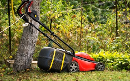 Lawn Care Riverdale GA Your Trusted Partner for a Lush, Green Lawn