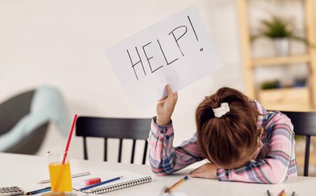 Mastering Academics with Expert Assignment Help: Your Guide to Academic Success