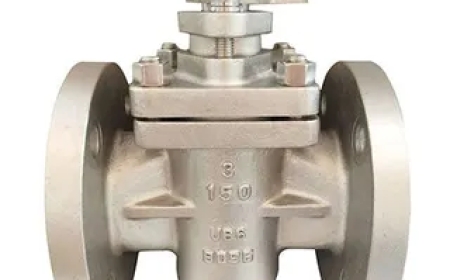 Detection and Treatment of Internal Leakage in Plug Valves