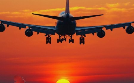 turkish airlines miami office​