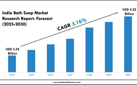 India Bath Soap Market 2025–2030: Emerging Trends & Forecast