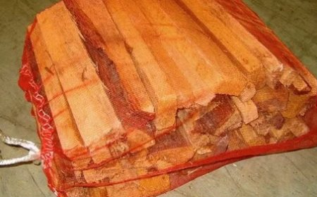 Premium Firewood for Sale – Clean & Reliable Heat