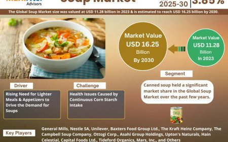 Soup Market on Track for 3.85% CAGR Growth | Demand & Technological Trends