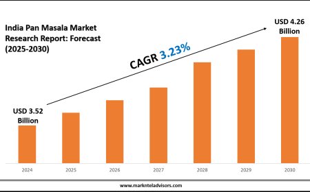 India Pan Masala Market Analysis and Forecast (2025–2030)