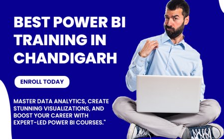 Unlock the Power of Business Intelligence and Data Visualization