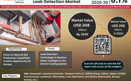 Top Middle East & Africa Leak Detection Market Companies & Operators: Trends, Key Players & Future Insights