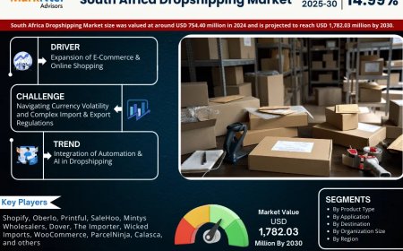 Top South Africa Dropshipping Market Companies & Operators: Trends, Key Players & Future Insights