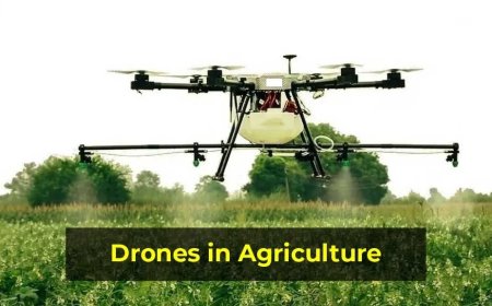 Discover How Drones Are Helping Indian Agriculture