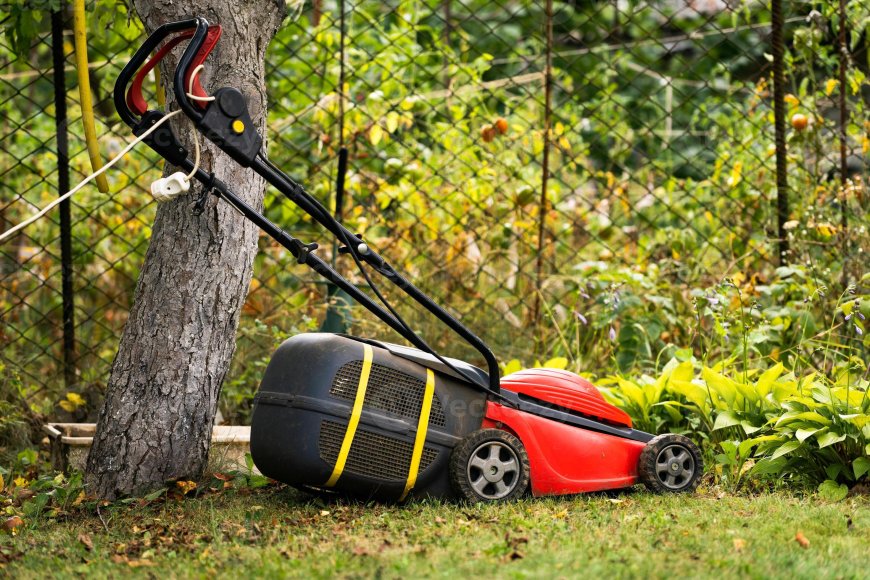Lawn Care Riverdale GA Your Trusted Partner for a Lush, Green Lawn