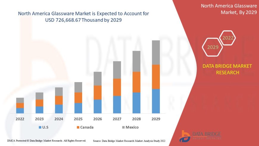 North America Glassware Market Flourishes Amid Premium Drinkware Trends and Scientific Usage