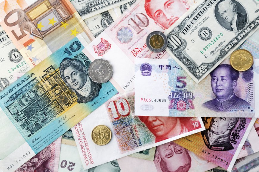 Best Money Exchange Services in Chennai – Shine India Exchange