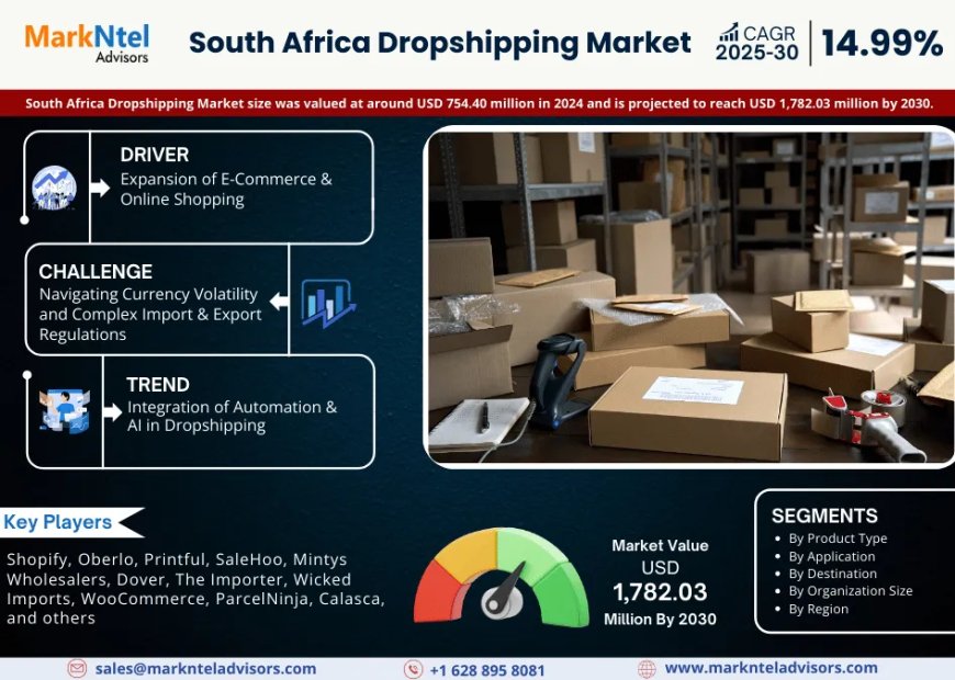 Top South Africa Dropshipping Market Companies & Operators: Trends, Key Players & Future Insights