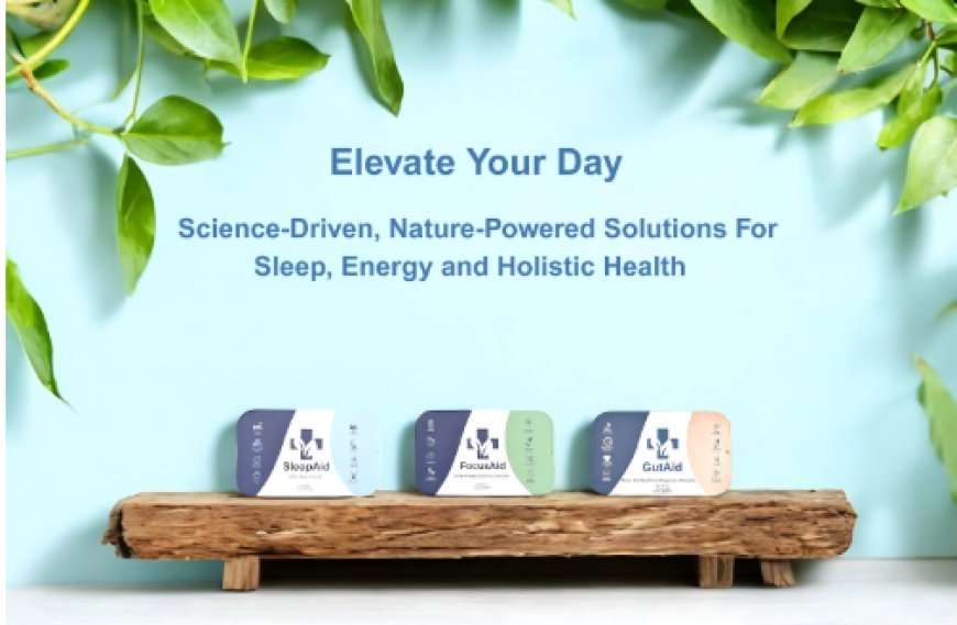 Why Choosing the Right Gut Health Supplements for Men and Women Can Improve Your Daily Wellbeing
